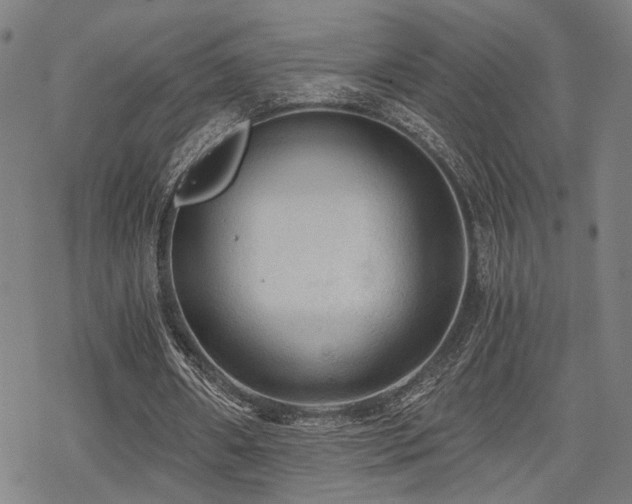 X0000069810482200605191049