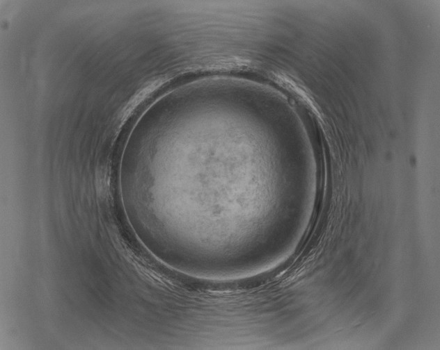 X0000069810483200605191049