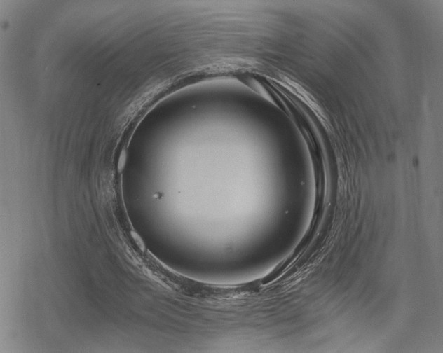 X0000069810485200605191049