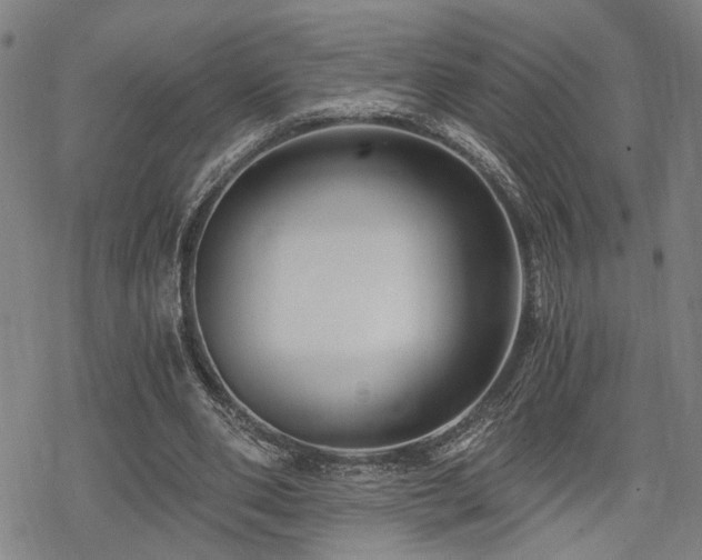 X0000069810486200605191049