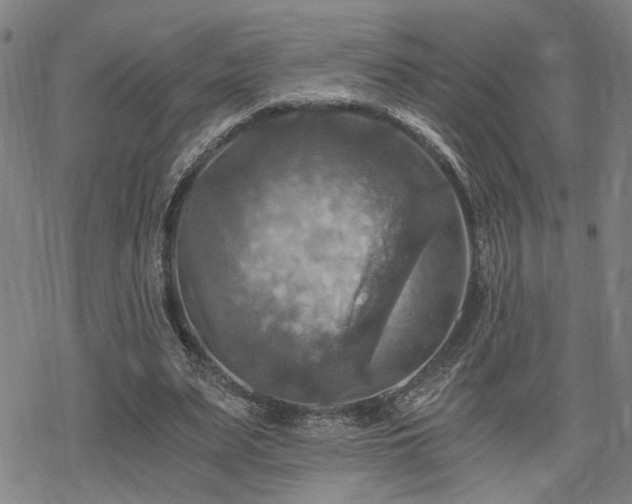 X0000069810487200605191049