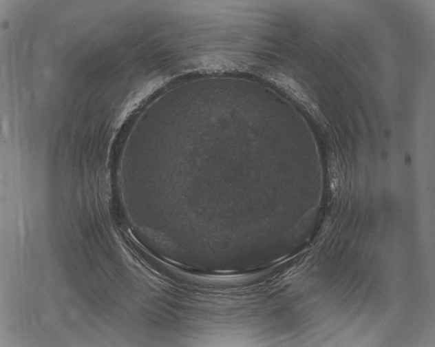 X0000069810488200605191049