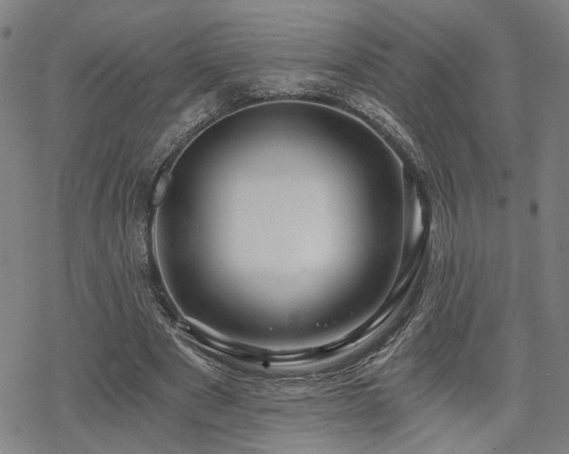 X0000069810489200605191049