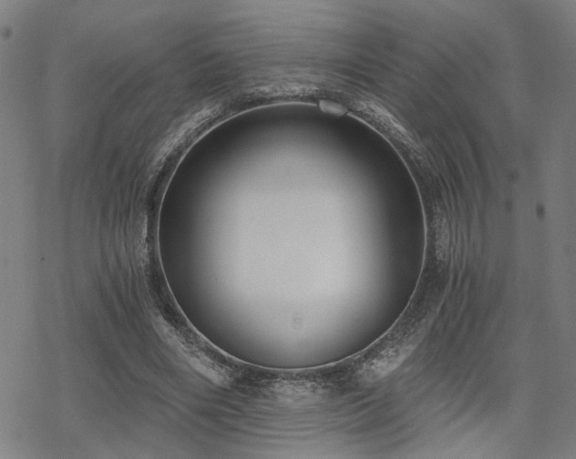 X0000069810490200605191049