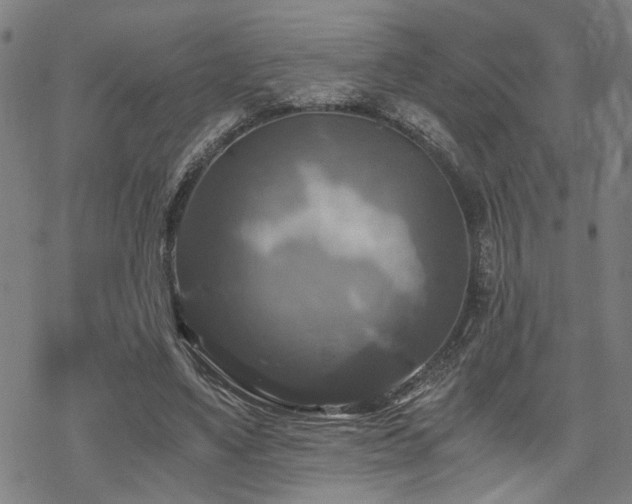 X0000069810491200605191049