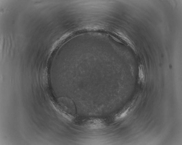 X0000069810492200605191049