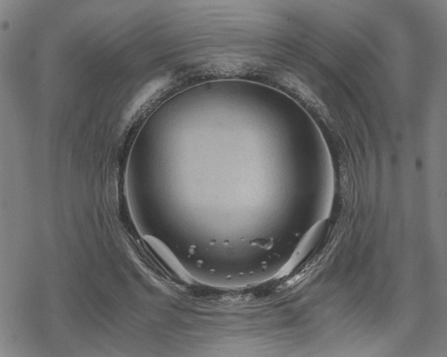 X0000069810493200605191049