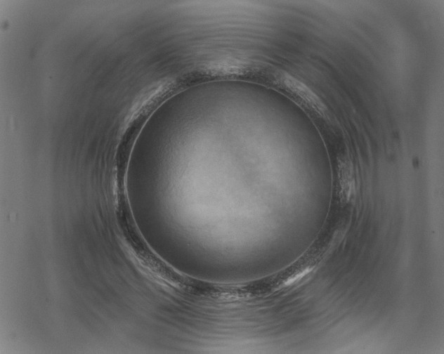 X0000069810494200605191049