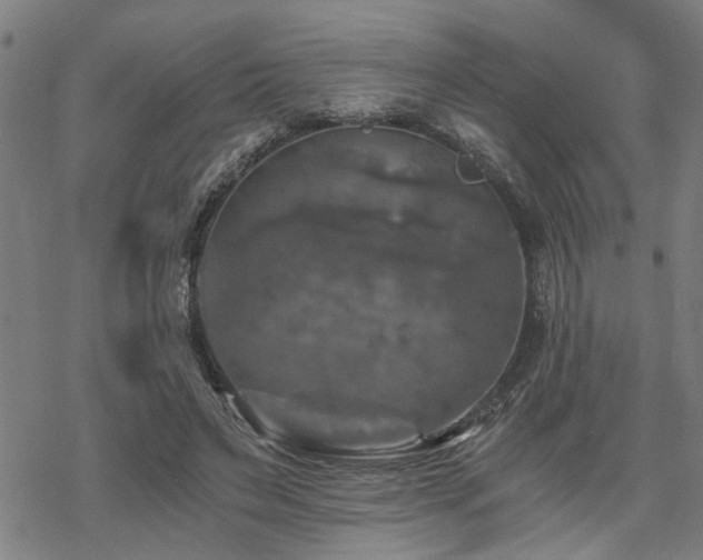 X0000069810495200605191049