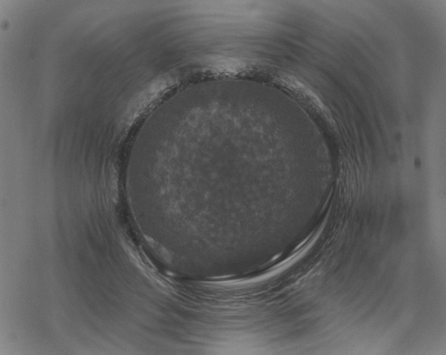 X0000069810496200605191049