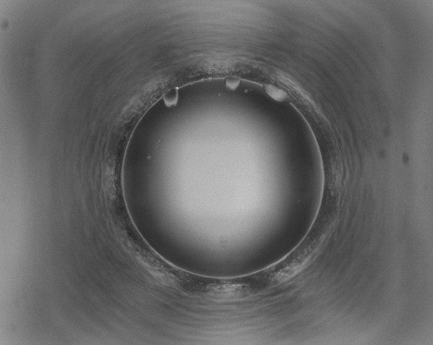 X0000069810497200605191049