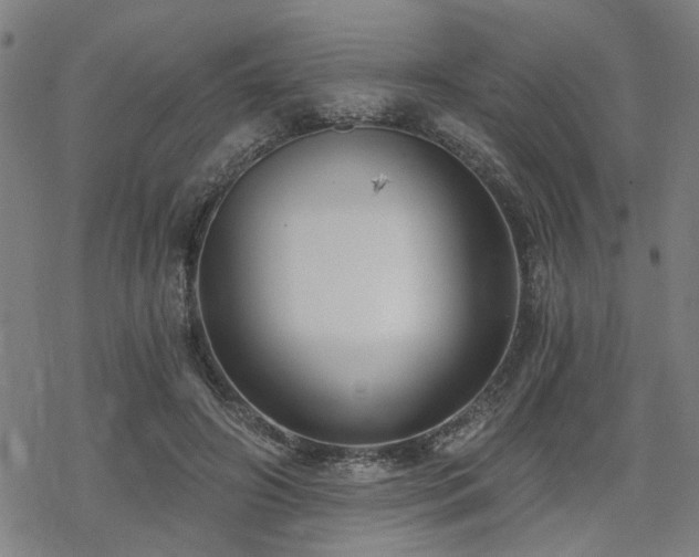 X0000069810498200605191049