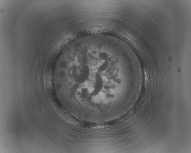 X0000069810499200605191049