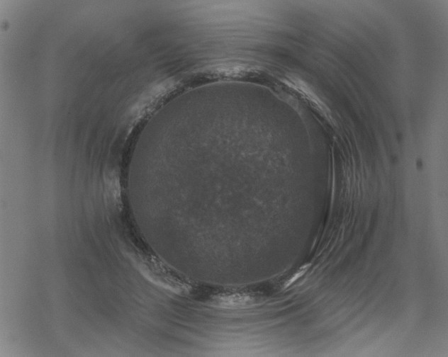 X0000069810500200605191049