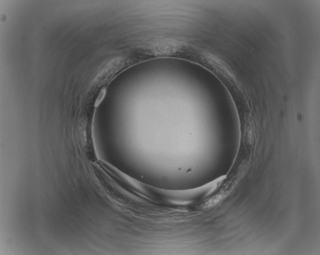 X0000069810501200605191049