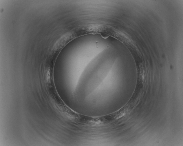 X0000069810502200605191049