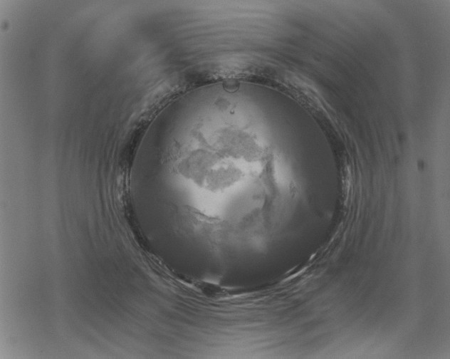 X0000069810503200605191049