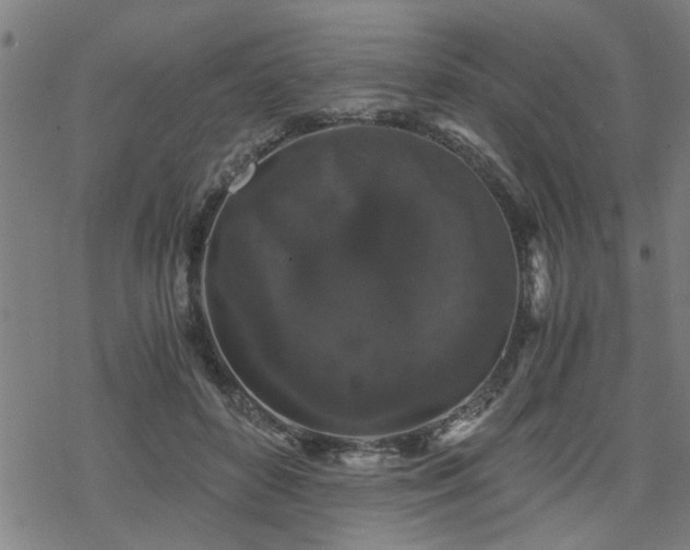 X0000069810504200605191049