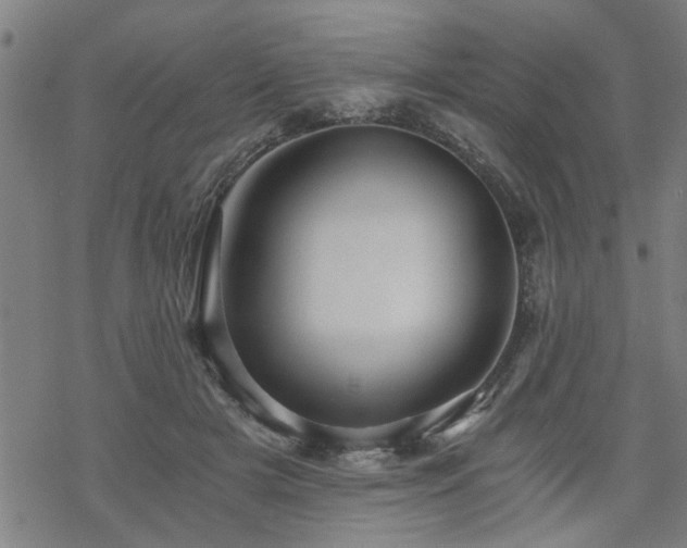 X0000069810505200605191049