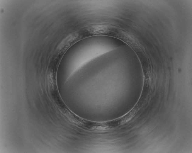 X0000069810506200605191049