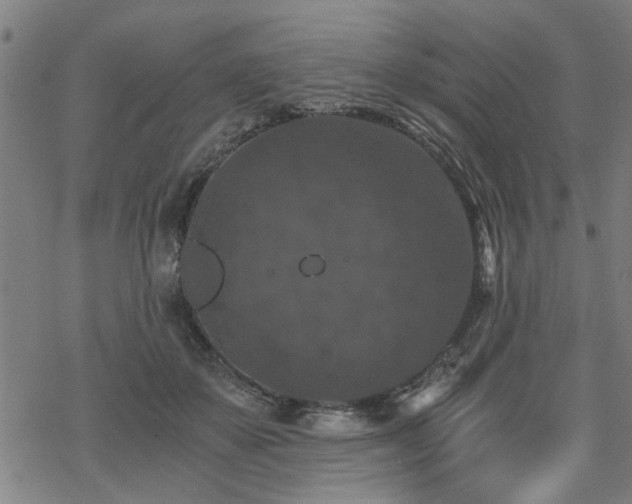 X0000069810507200605191049