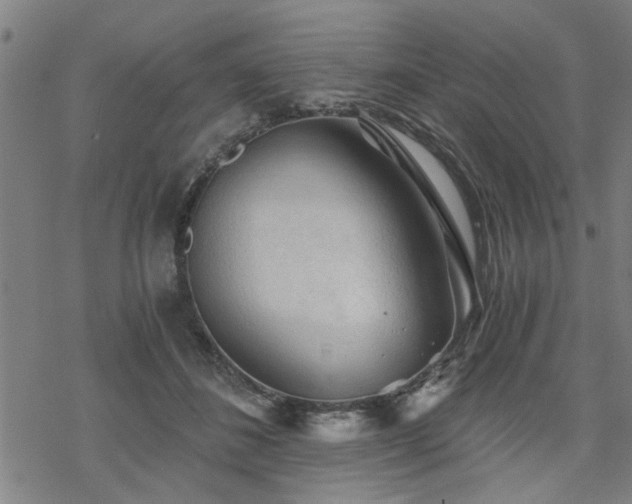 X0000069810508200605191049