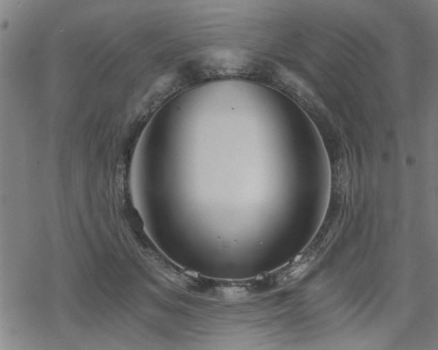 X0000069810509200605191049