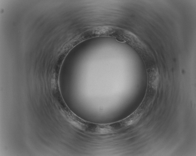 X0000069810510200605191049