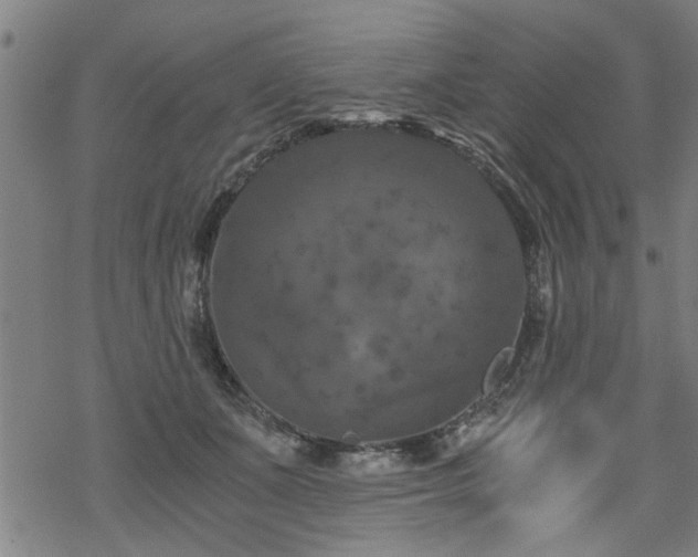 X0000069810511200605191049