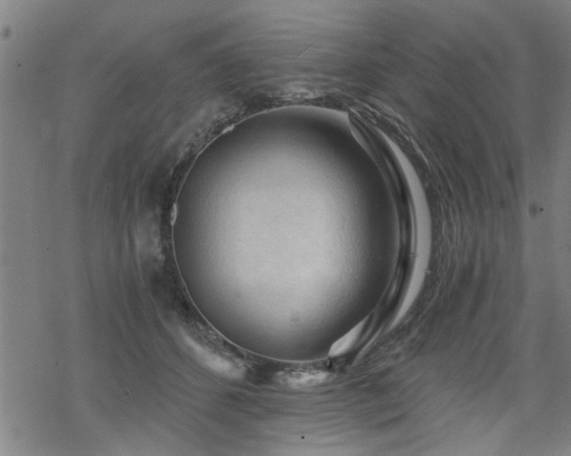 X0000069810512200605191049