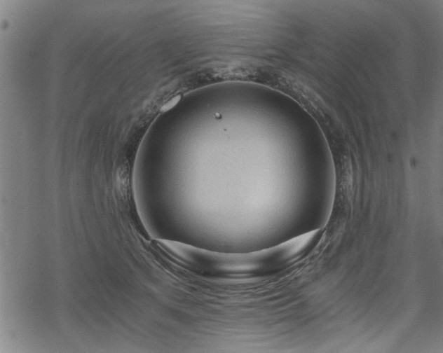 X0000069810513200605191049