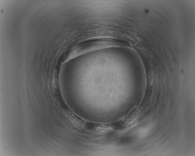 X0000069810515200605191049