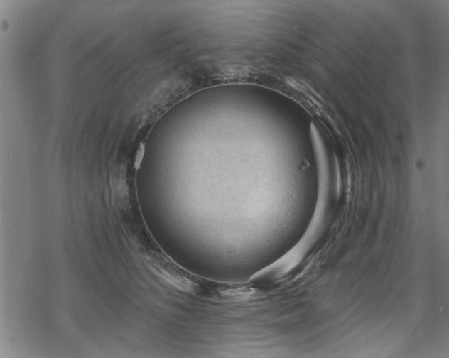 X0000069810516200605191049