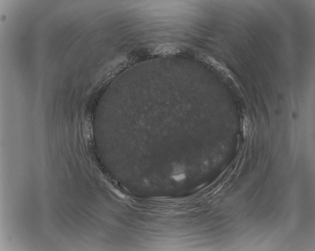 X0000069810517200605191049