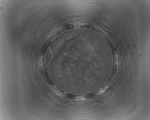 X0000069810519200605191049