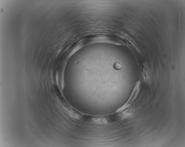 X0000069810520200605191049