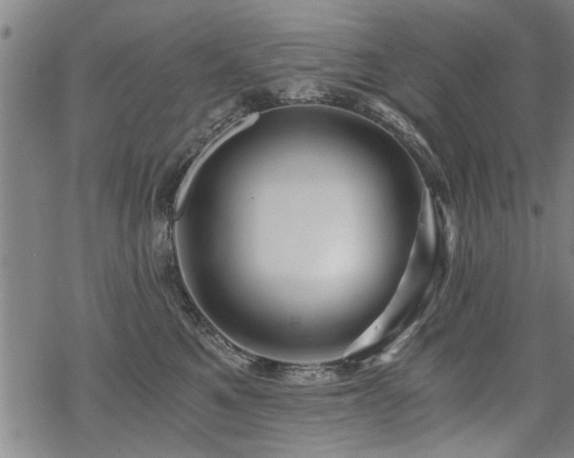 X0000069810521200605191049