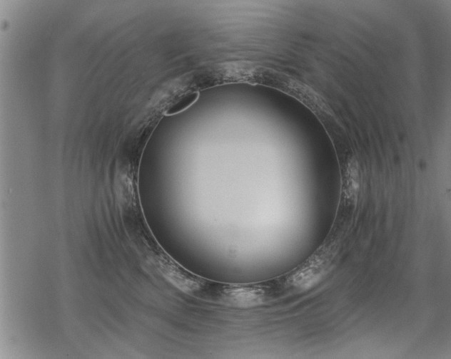 X0000069810522200605191049