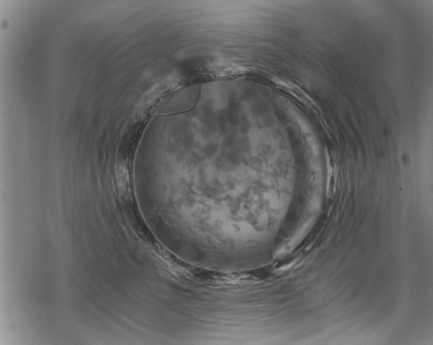 X0000069810523200605191049