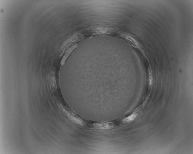 X0000069810524200605191049