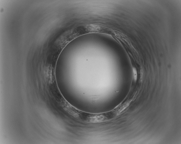 X0000069810525200605191049