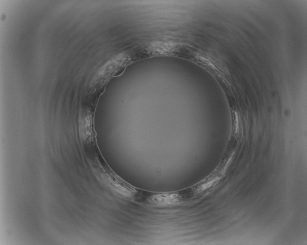 X0000069810526200605191049