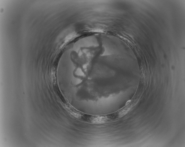 X0000069810527200605191049