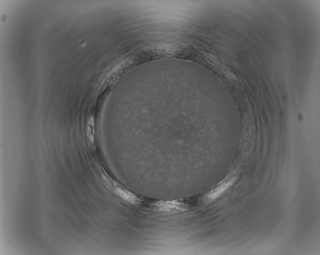 X0000069810528200605191049