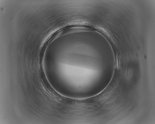 X0000069810531200605191048