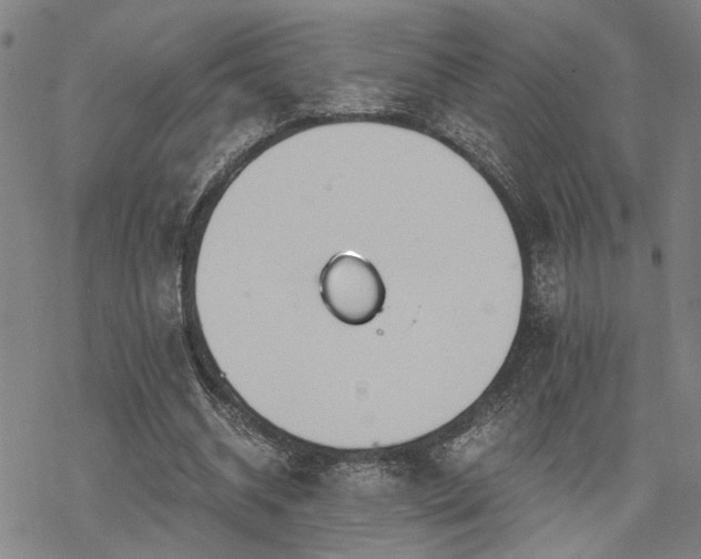 X0000069810534200605191048