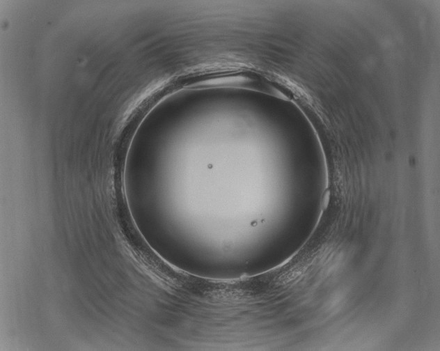 X0000069810535200605191048