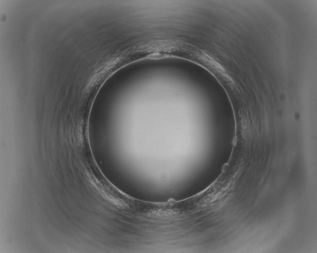 X0000069810537200605191048