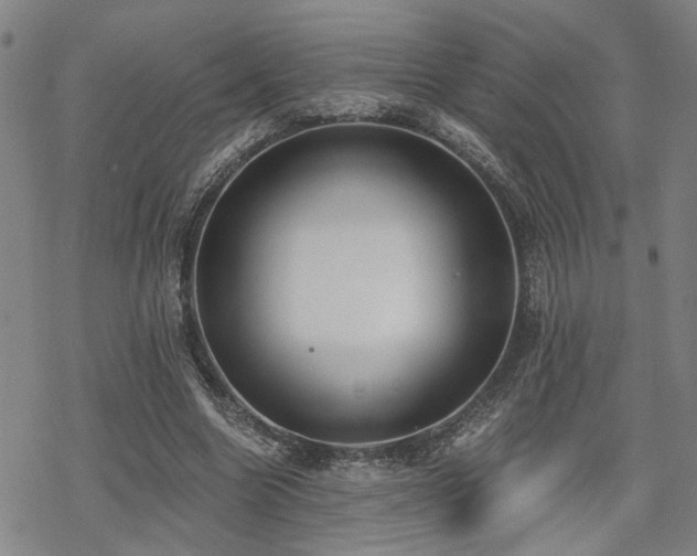 X0000069810538200605191048