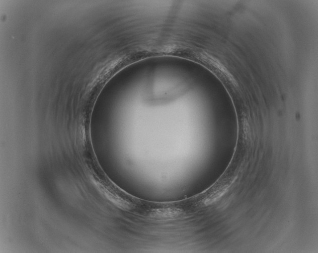 X0000069810541200605191048